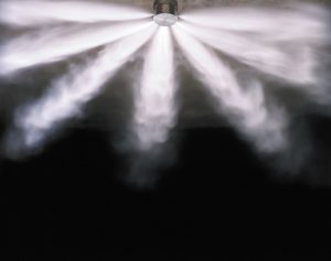 width=